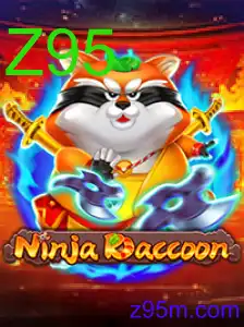 NinjaRaccoon